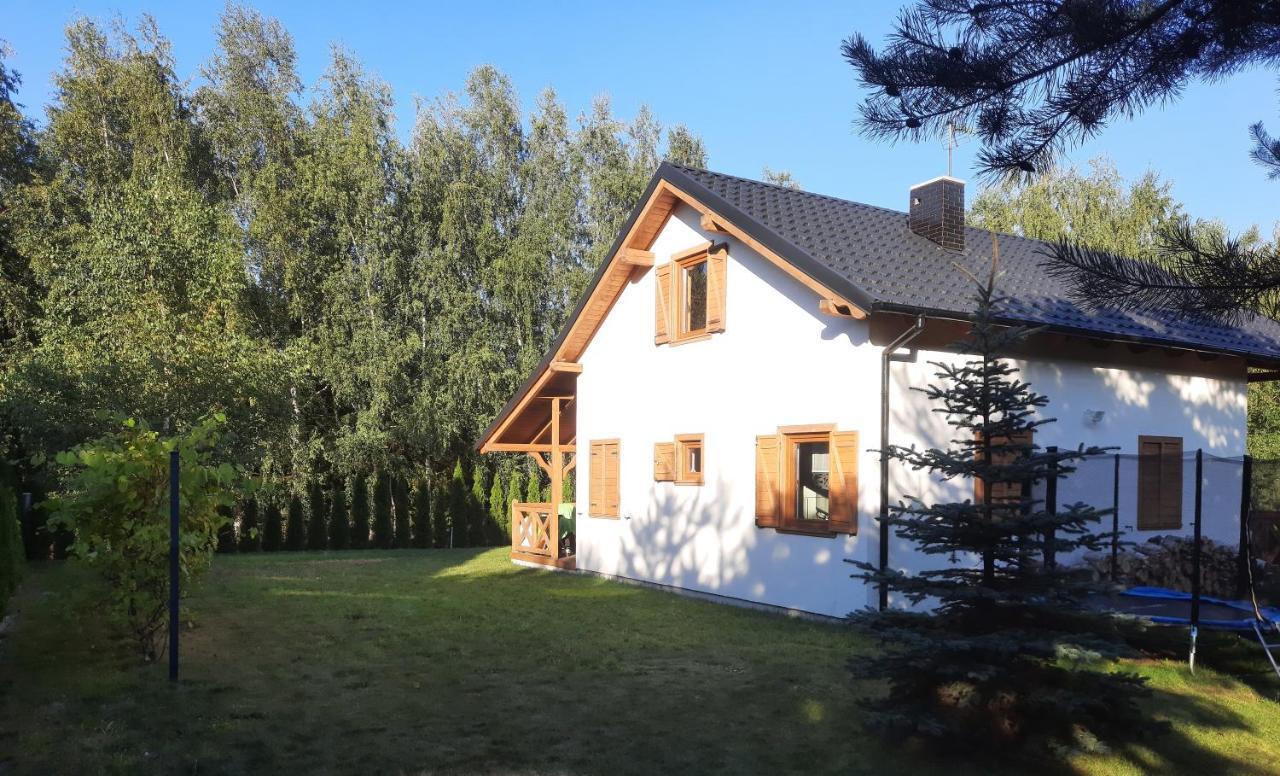 Anastazewo Domek Caloroczny Nad Jeziorem Budzislawskim, Wielkopolska Na Wynajem מראה חיצוני תמונה