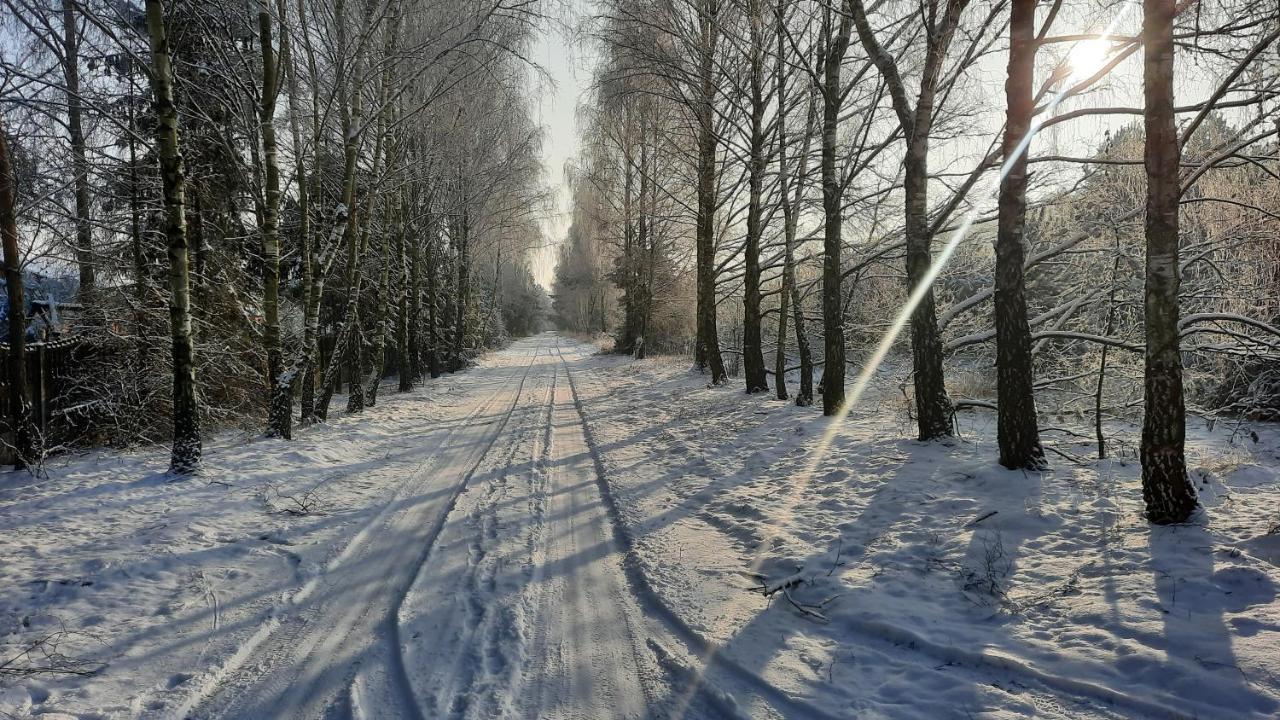 Anastazewo Domek Caloroczny Nad Jeziorem Budzislawskim, Wielkopolska Na Wynajem מראה חיצוני תמונה