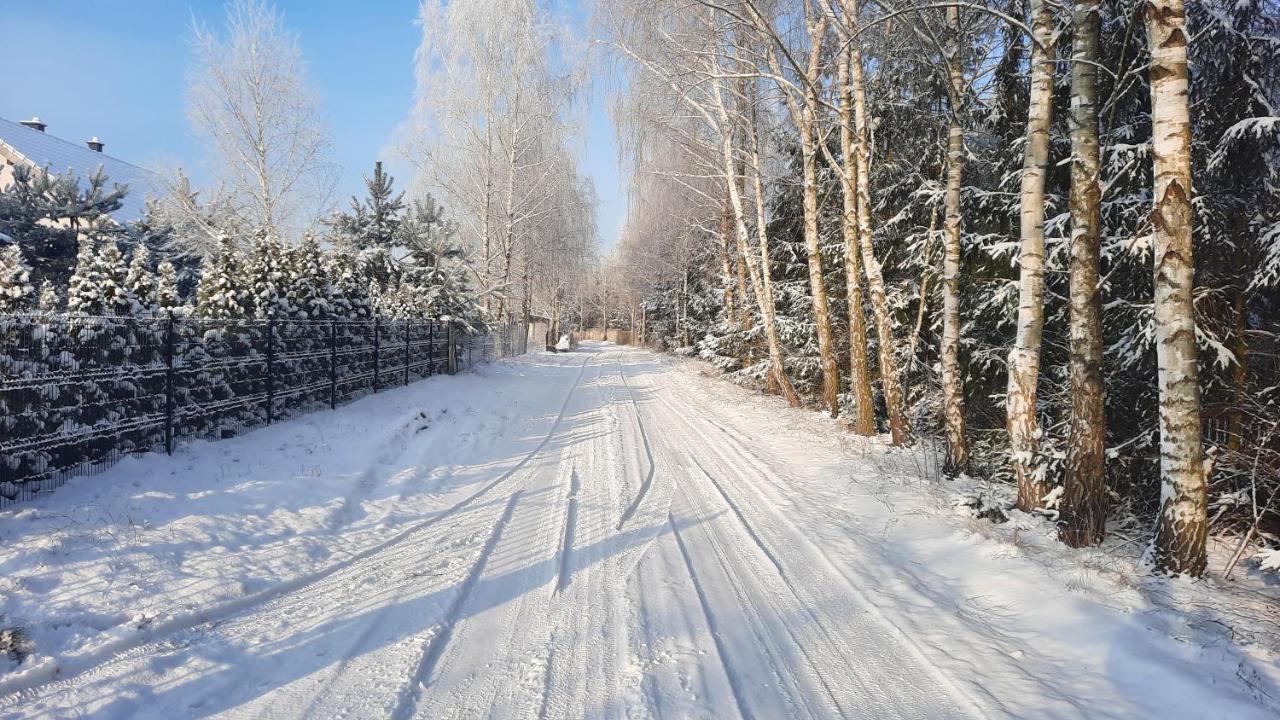 Anastazewo Domek Caloroczny Nad Jeziorem Budzislawskim, Wielkopolska Na Wynajem מראה חיצוני תמונה
